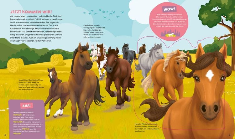 Produktbild: WAS IST WAS Kids Pferde und Ponys. Wild, stark und einfach toll!