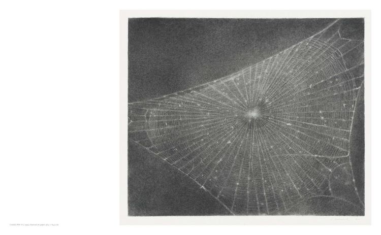 Produktbild: Vija Celmins