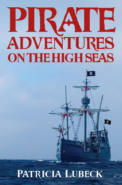 Produktbild: Pirate Adventures on the High Seas