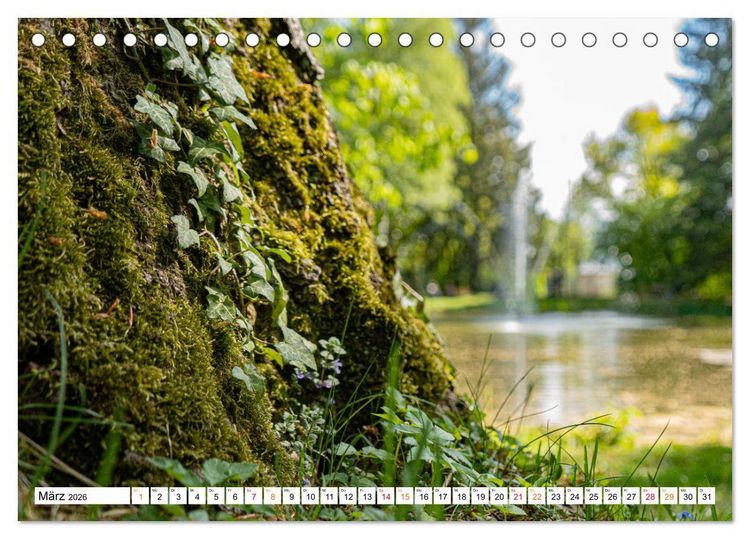 Produktbild: Natur hautnah Kalender (Tischkalender 2026 DIN A5 quer), CALVENDO Monatskalender