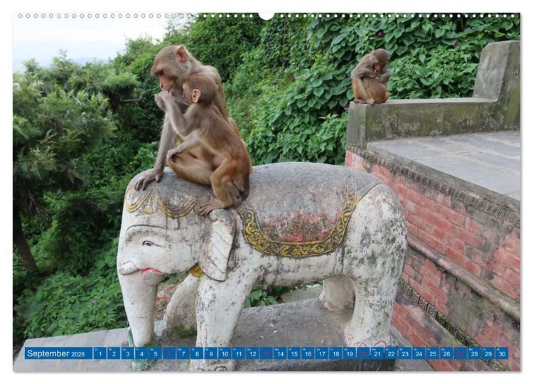 Produktbild: Kalender 2026 der Nepal Kinderhilfe e.V. (Wandkalender 2026 DIN A2 quer), CALVENDO Monatskalender