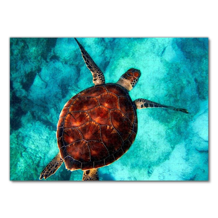 Produktbild: Lais Puzzle Schildkr&ouml;te 1000 Teile