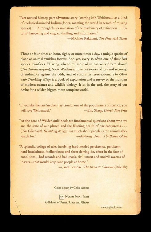 Produktbild: The Ghost with Trembling Wings