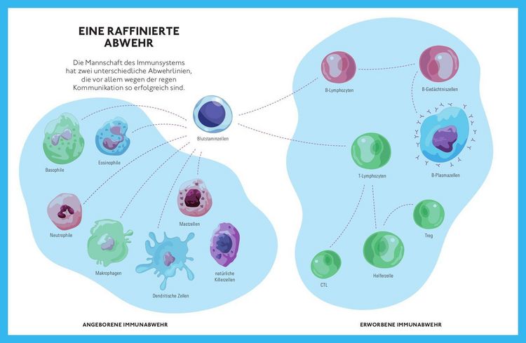 Produktbild: F&uuml;r ein fittes Immunsystem