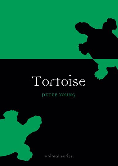 Produktbild: Tortoise