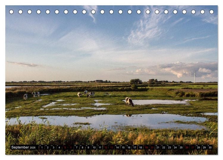 Produktbild: Nordseeinsel Pellworm 2026 (Tischkalender 2026 DIN A5 quer), CALVENDO Monatskalender