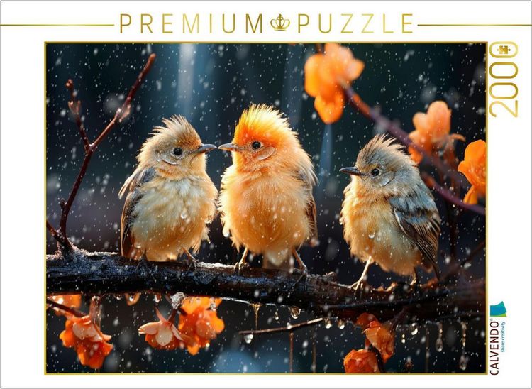 Produktbild: CALVENDO Puzzle V&ouml;gel, Schietwetter, oder? | 2000 Teile Lege-Gr&ouml;&szlig;e 90x67cm Foto-Puzzle f&uuml;r gl&uuml;ckliche Stunden