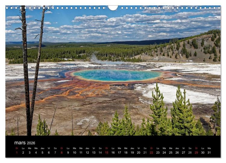 Produktbild: Yellowstone Un grand parc am&eacute;ricain (Calendrier mural 2026 DIN A3 vertical), CALVENDO calendrier mensuel