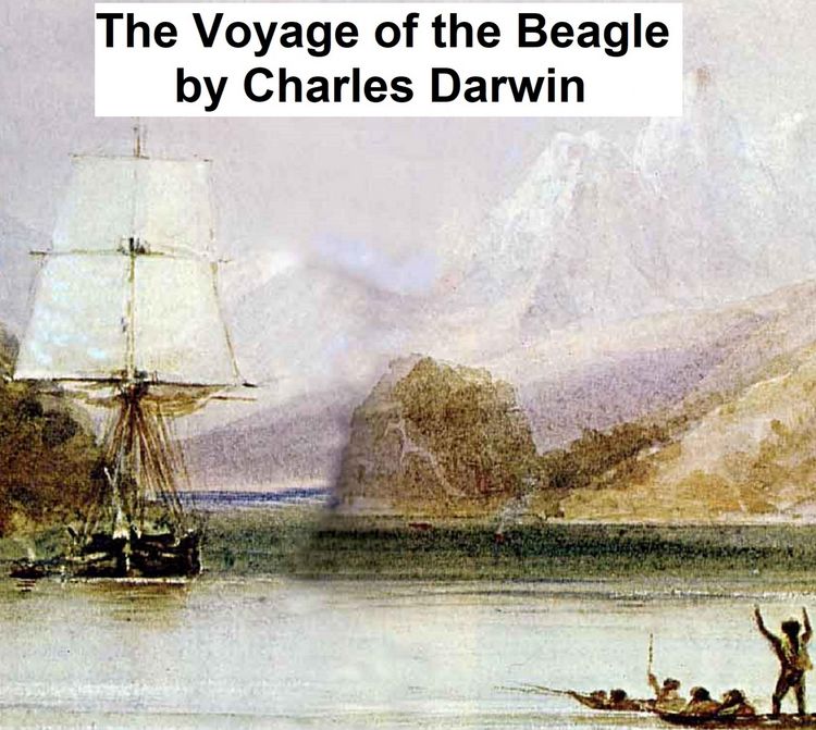 Produktbild: The Voyage of the Beagle