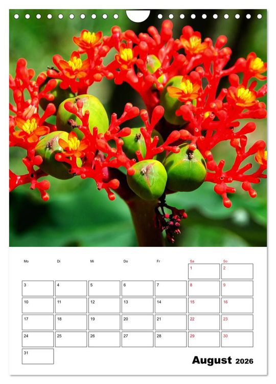 Produktbild: Karibik pur - mit Charme und Zauber (Wandkalender 2026 DIN A4 hoch), CALVENDO Monatskalender
