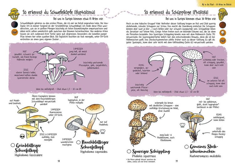 Produktbild: Pilze f&uuml;r Ahnungslose