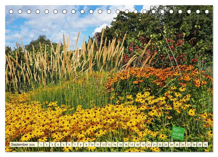 Produktbild: Der Hermannshof Das Parkjuwel in Weinheim an der Bergstra&szlig;e (Tischkalender 2026 DIN A5 quer), CALVENDO Monatskalender