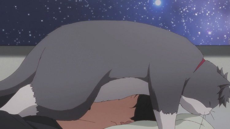 Produktbild: Tada Never Falls in Love Vol. 1 (Ep.1-4) im Sammelschuber