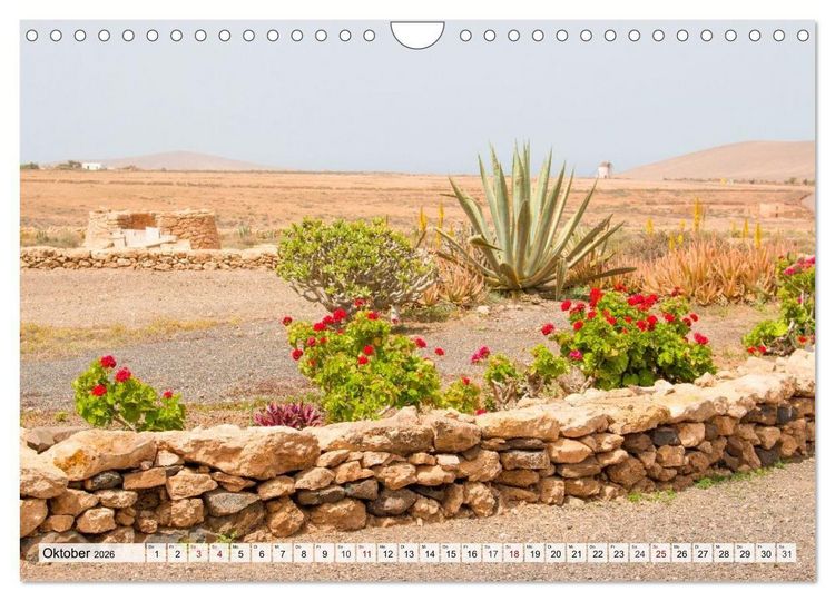 Produktbild: Fuerteventura &ndash; Von Str&auml;nden und Bergen (Wandkalender 2026 DIN A4 quer), CALVENDO Monatskalender