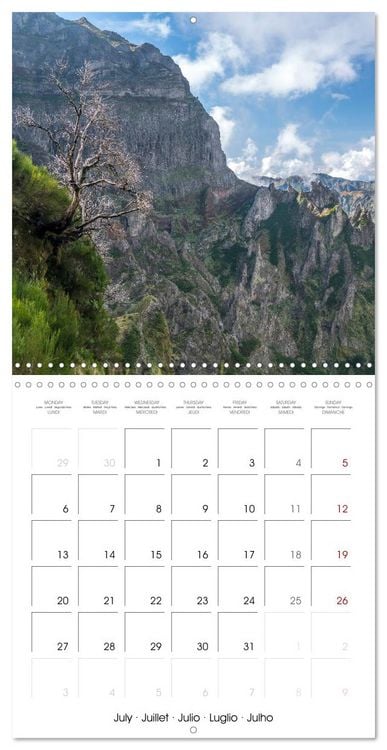 Produktbild: Portugal - Madeira (Wall Calendar 2026 12 &times; 12 Inch) CALVENDO 12 Month Wall Calendar
