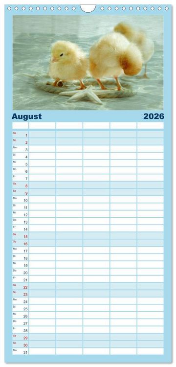 Produktbild: Familienplaner 2026 - K&uuml;ken in der Kinderstube mit 5 Spalten (Wandkalender, 21 x 45 cm) CALVENDO