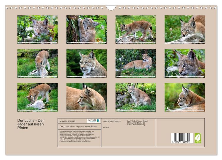 Produktbild: Der Luchs - Der J&auml;ger auf leisen Pfoten (Wandkalender 2026 DIN A3 quer), CALVENDO Monatskalender