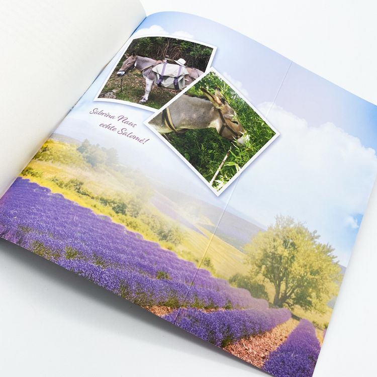Produktbild: Ein Sommer mit Esel