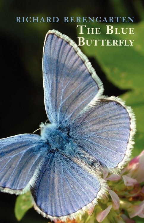 Produktbild: The Blue Butterfly