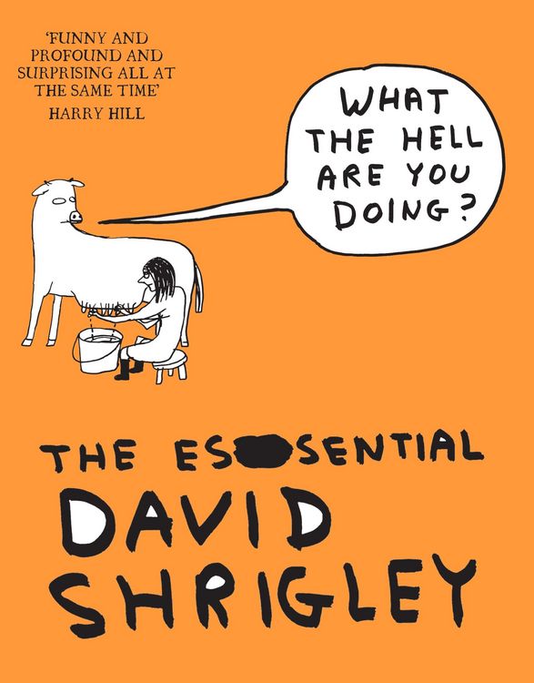 Produktbild: What The Hell Are You Doing?: The Essential David Shrigley