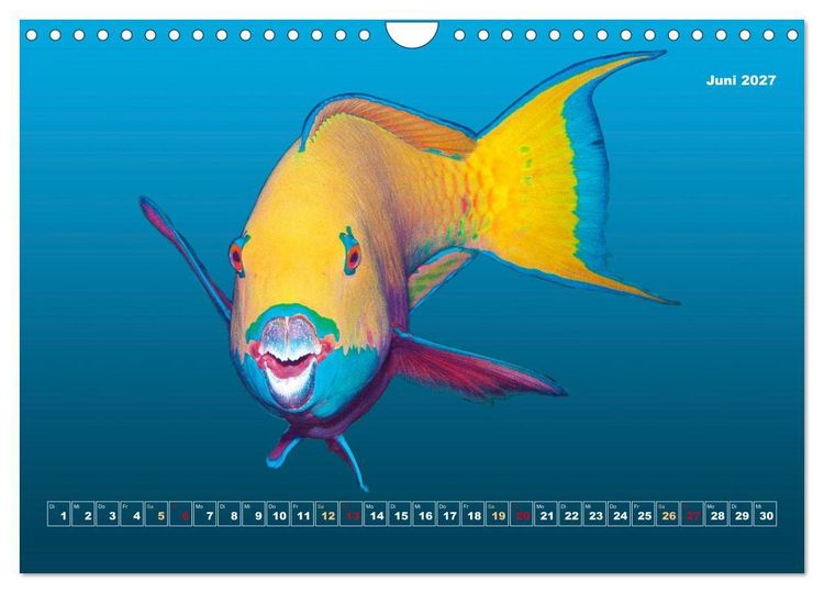Produktbild: Unterwasser-Galerie (Wandkalender 2027 DIN A4 quer), CALVENDO Monatskalender