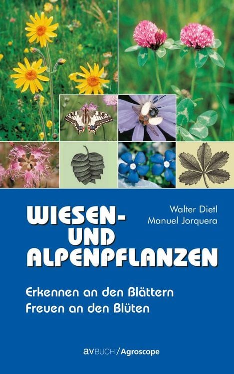 Produktbild: Wiesen- und Alpenpflanzen
