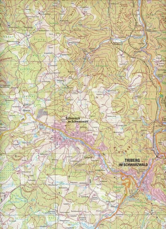 Produktbild: Triberg im Schwarzwald 1 : 25 000