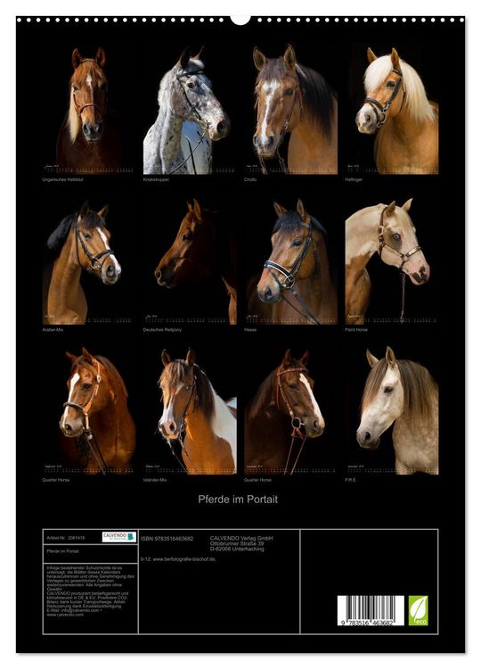 Produktbild: Pferde im Portait (hochwertiger Premium Wandkalender 2026 DIN A2 hoch), Kunstdruck in Hochglanz