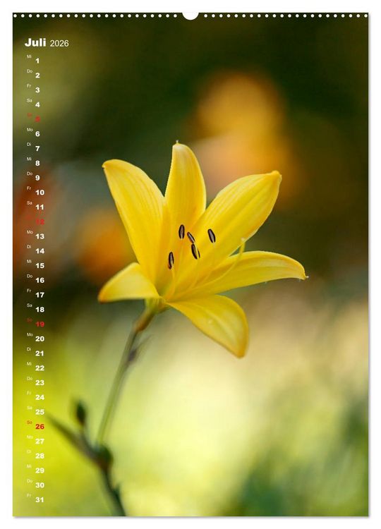 Produktbild: Colors of Nature (Wandkalender 2026 DIN A2 hoch), CALVENDO Monatskalender