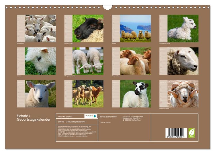 Produktbild: Schafe / Geburtstagskalender (Wandkalender 2026 DIN A3 quer), CALVENDO Monatskalender