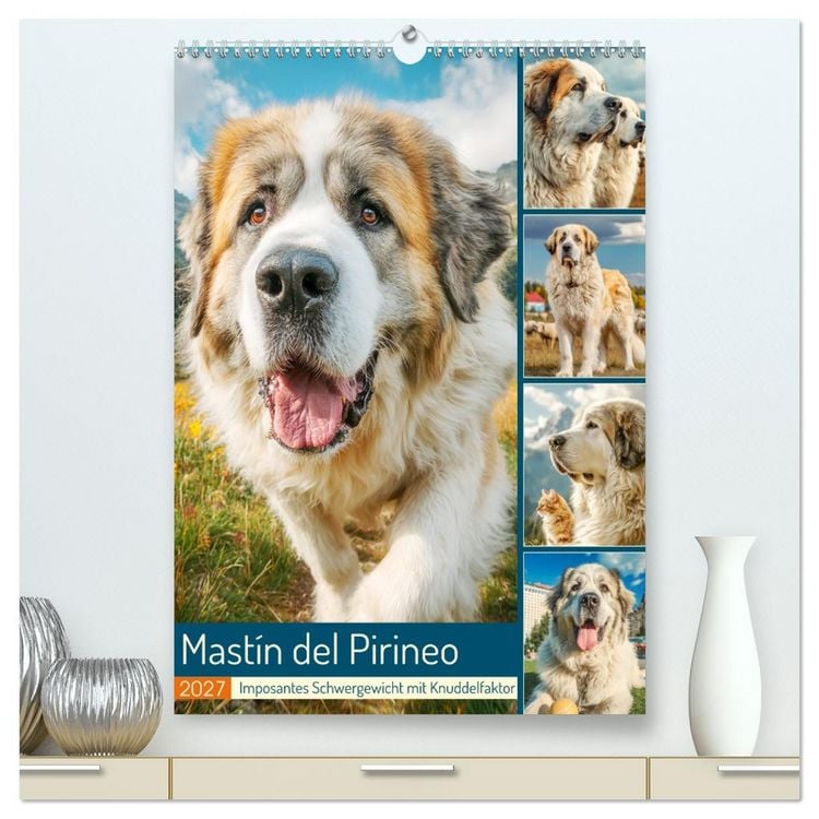 Produktbild: Mast&iacute;n del Pirineo. Imposantes Schwergewicht mit Knuddelfaktor (hochwertiger Premium Wandkalender 2027 DIN A2 hoch), Kunstdruck in Hochglanz