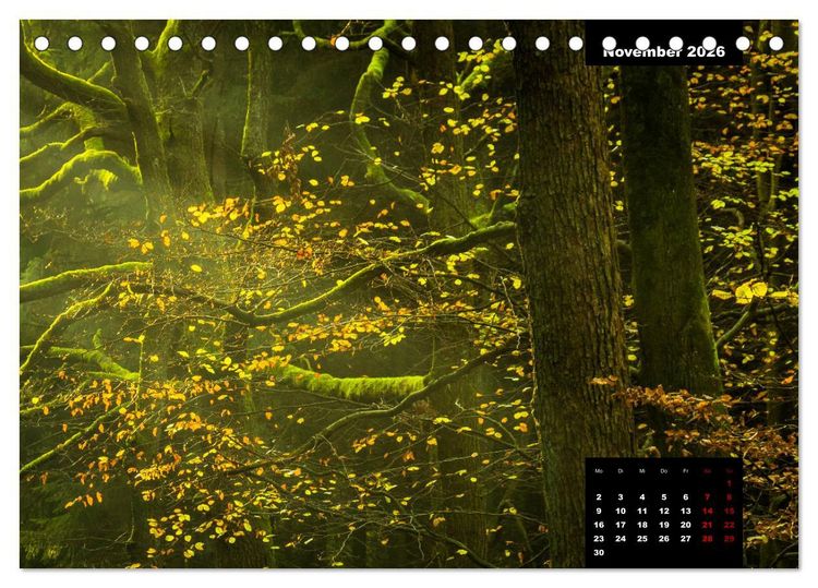 Produktbild: Malerisches Sauerland (Tischkalender 2026 DIN A5 quer), CALVENDO Monatskalender