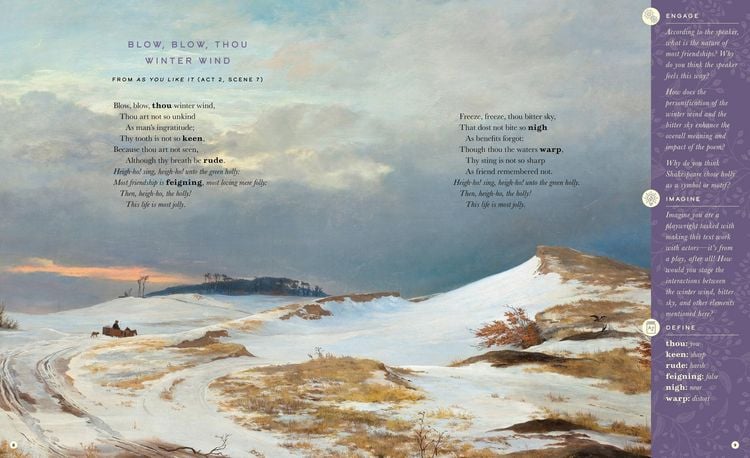 Produktbild: The Illustrated William Shakespeare: 25 Essential Poems