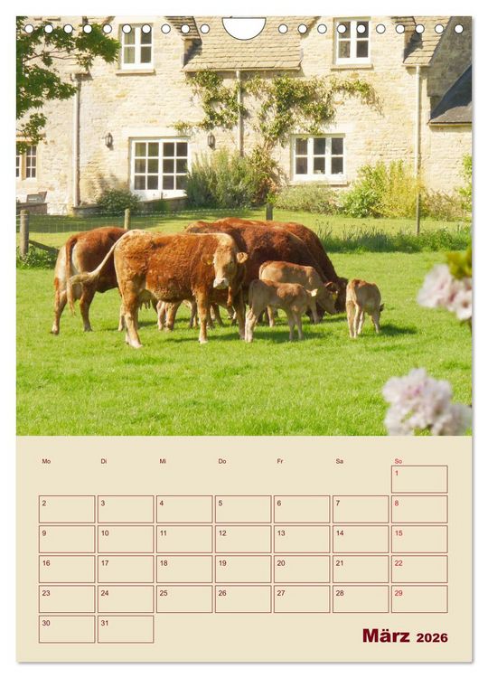Produktbild: Die Cotswolds Englands gr&uuml;nes Herz (Wandkalender 2026 DIN A4 hoch), CALVENDO Monatskalender