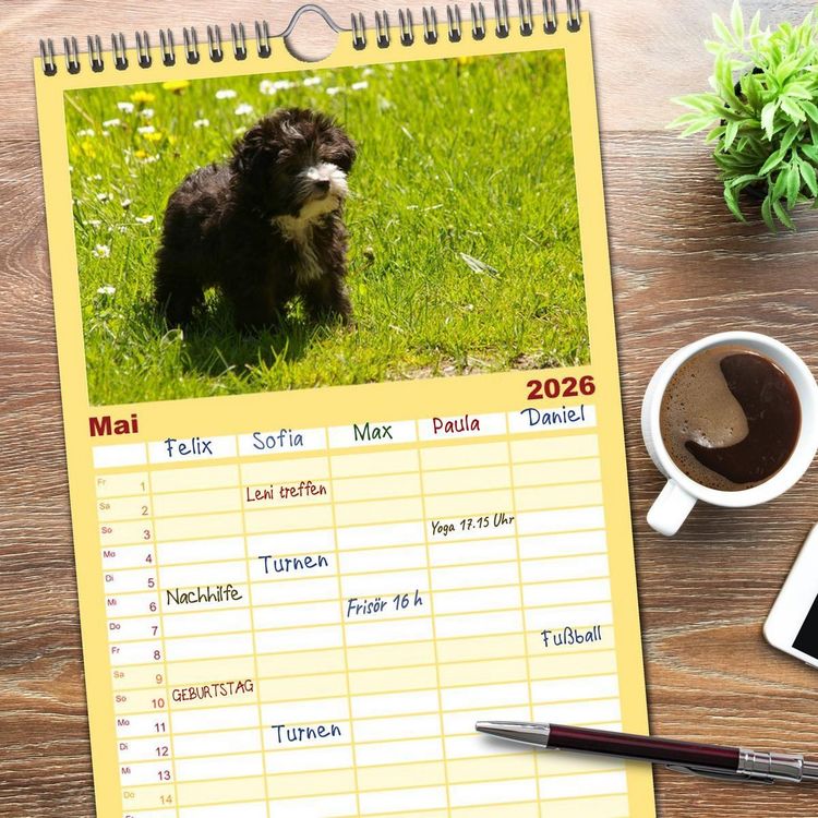 Produktbild: Familienplaner 2026 - Bolonka Zwetna mit 5 Spalten (Wandkalender, 21 x 45 cm) CALVENDO