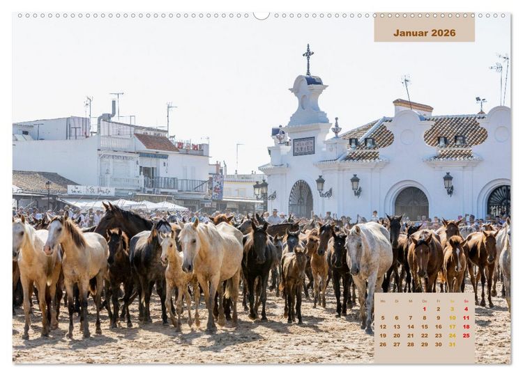 Produktbild: Pferde - Andalusiens wilder Westen (Wandkalender 2026 DIN A2 quer), CALVENDO Monatskalender
