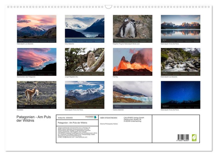 Produktbild: Patagonien - Am Puls der Wildnis (Wandkalender 2026 DIN A2 quer), CALVENDO Monatskalender