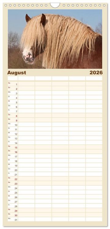 Produktbild: Familienplaner 2026 - Kaltblut - schwere Pferde mit Herz mit 5 Spalten (Wandkalender, 21 x 45 cm) CALVENDO