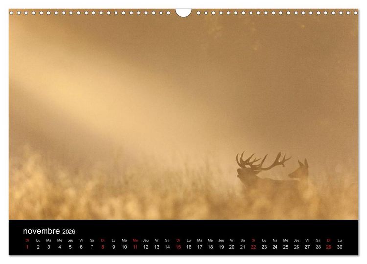 Produktbild: Tr&eacute;sors des Vosges (Calendrier mural 2026 DIN A3 vertical), CALVENDO calendrier mensuel
