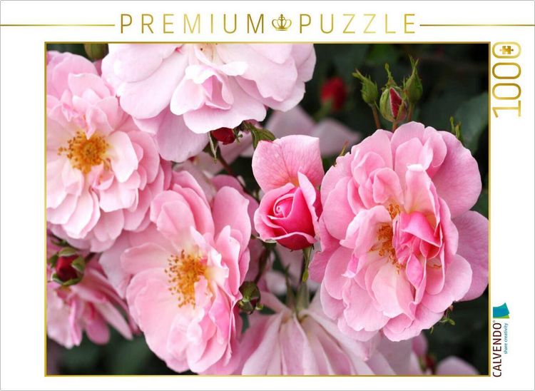 Produktbild: CALVENDO Puzzle Rosa M&auml;rchenland | 1000 Teile Lege-Gr&ouml;&szlig;e 64x48cm Foto-Puzzle f&uuml;r gl&uuml;ckliche Stunden