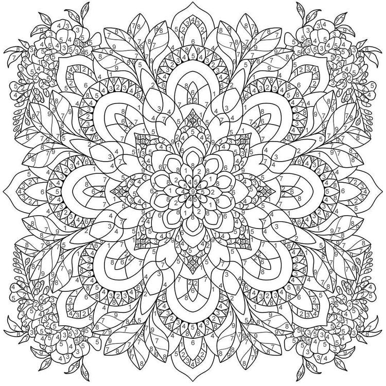 Produktbild: Mandala-Reise