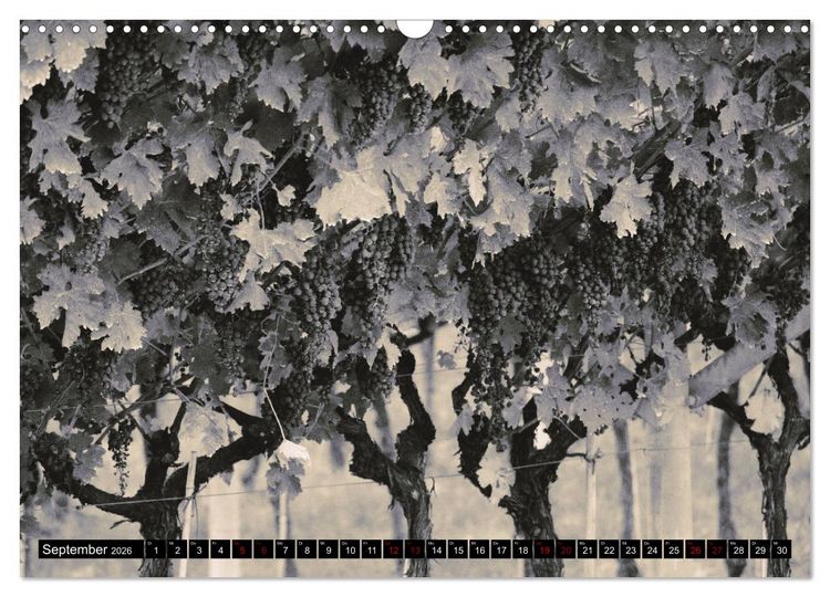 Produktbild: Romantisches Italien (Wandkalender 2026 DIN A3 quer), CALVENDO Monatskalender