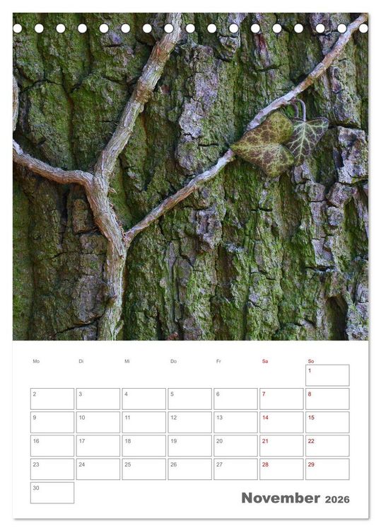 Produktbild: Planen mit dem Symbol der inneren St&auml;rke (Tischkalender 2026 DIN A5 hoch), CALVENDO Monatskalender