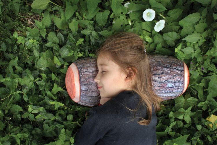 Produktbild: Log Head Rest