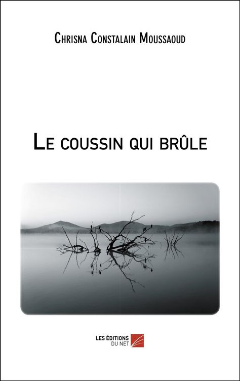 Produktbild: Le coussin qui brule