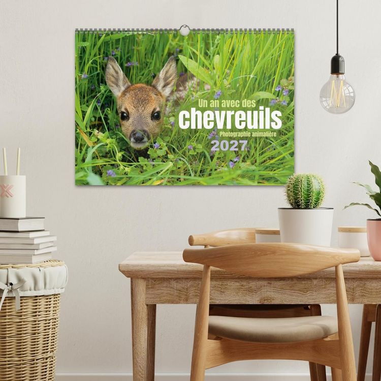 Produktbild: Un an avec des chevreuils (Calendrier mural 2027 DIN A3 vertical), CALVENDO calendrier mensuel