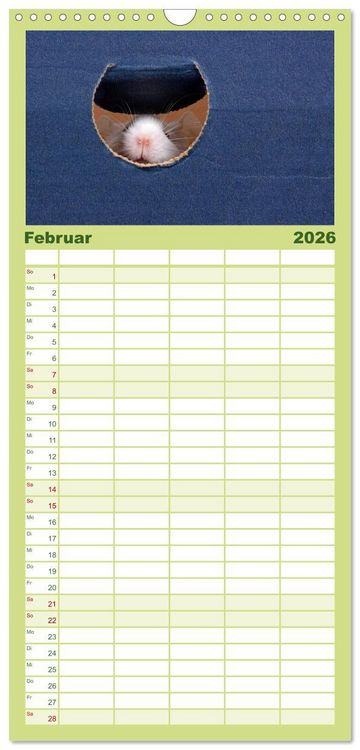 Produktbild: Familienplaner 2026 - S&uuml;&szlig;e M&auml;use und Coole Ratten mit 5 Spalten (Wandkalender, 21 x 45 cm) CALVENDO