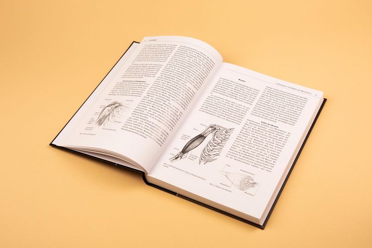 Produktbild: Musikergesundheit in der Praxis