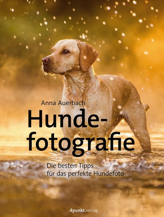Produktbild: Hundefotografie