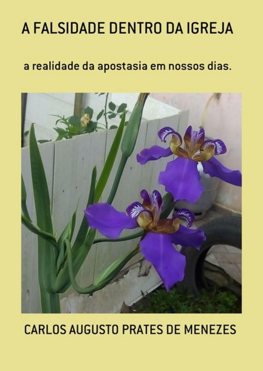 Produktbild: A Falsidade Dentro Da Igreja